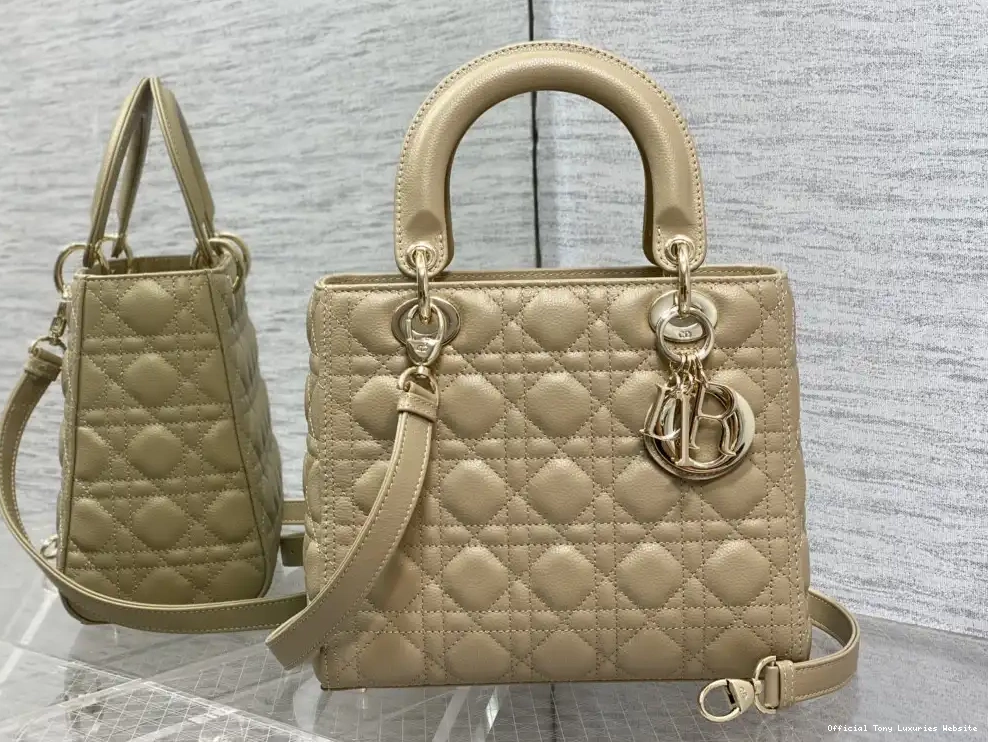 Tony Luxuries Lady diro Gold large Calfskin-24cm 0629
